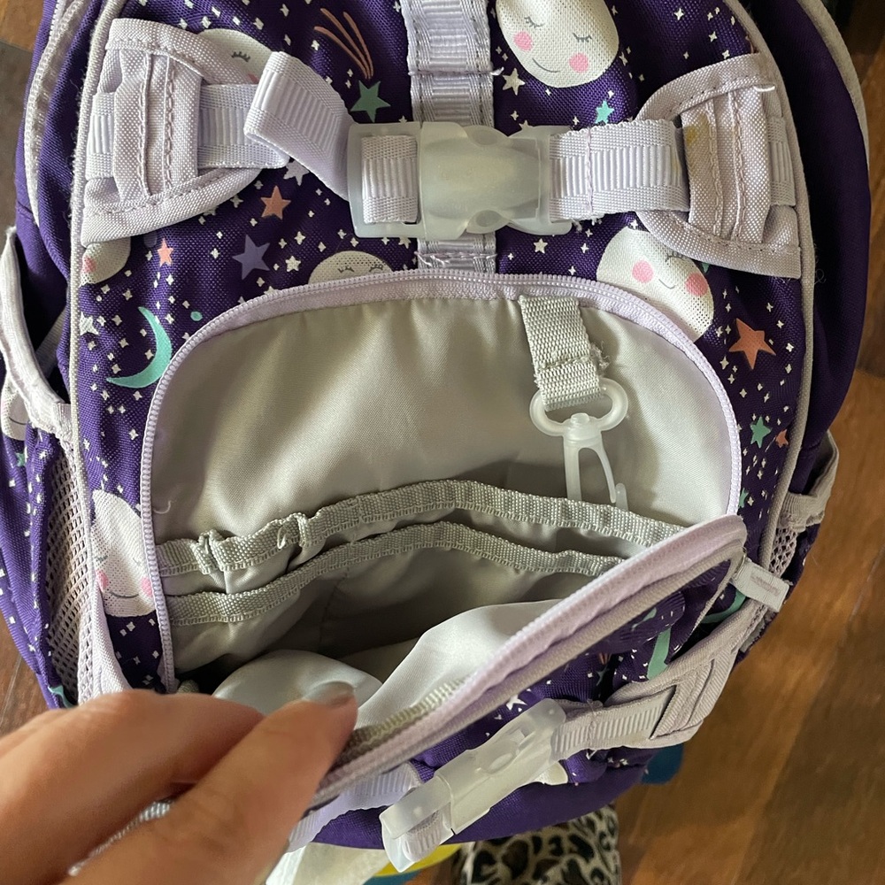 Pottery Barn Moon & Stars regular size book bag & lunch box set